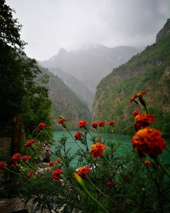 Riverside Komani Lake מראה חיצוני תמונה